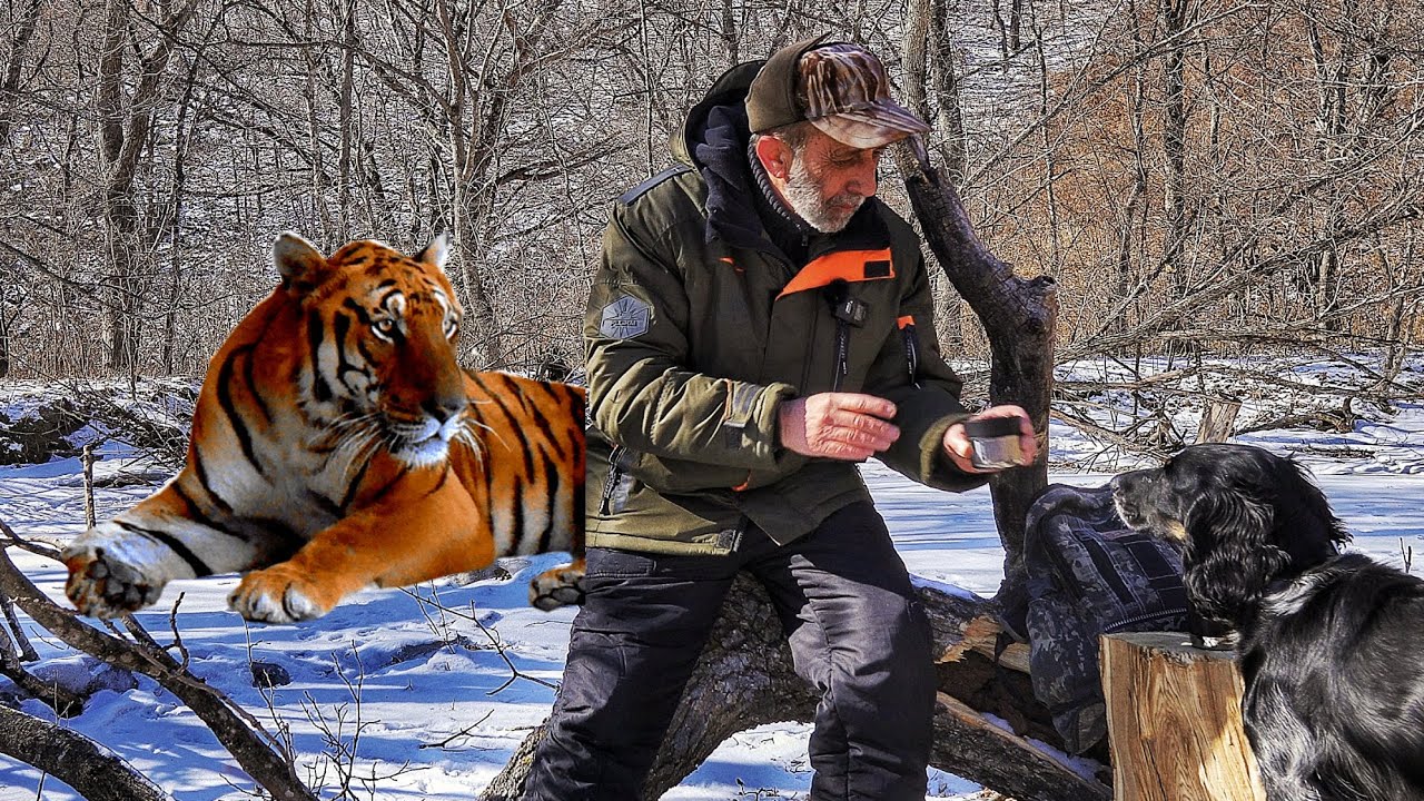 УШЁЛ в ТАЙГУ к Амурским тиграм с Новым Защищённым смартфоном.