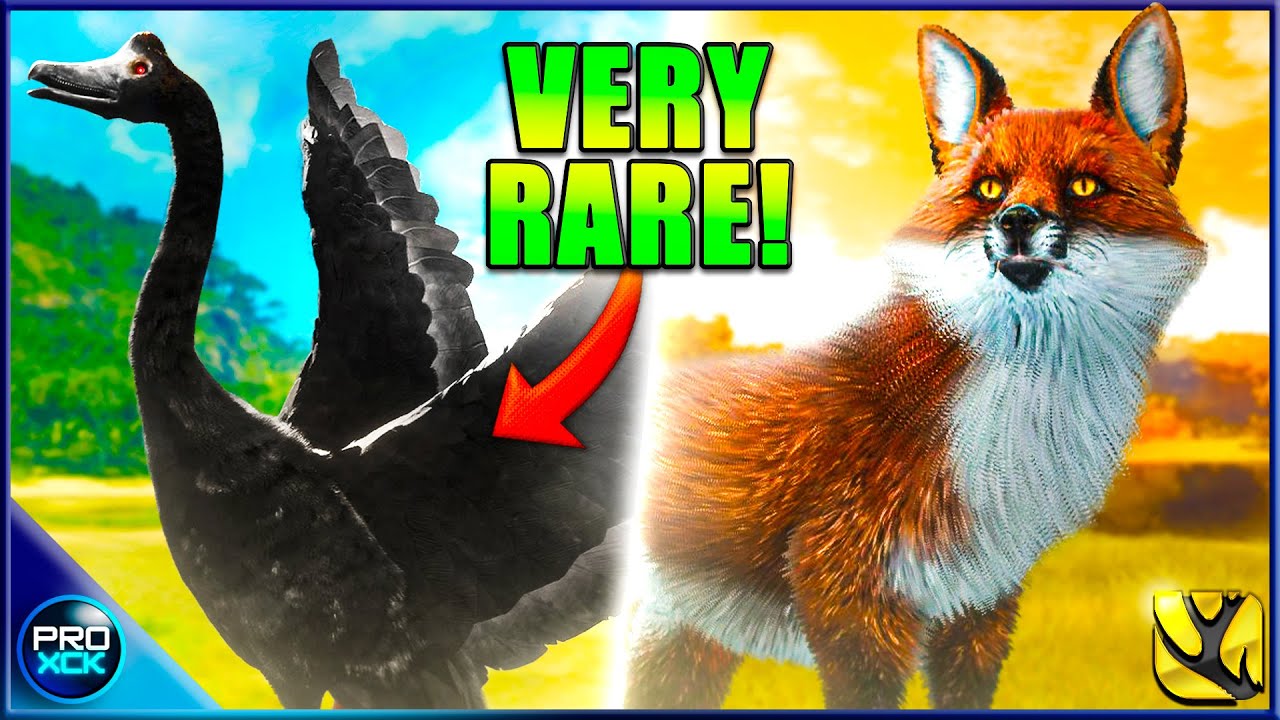 Melanistic Magpie Goose!  - theHunter Call of the Wild