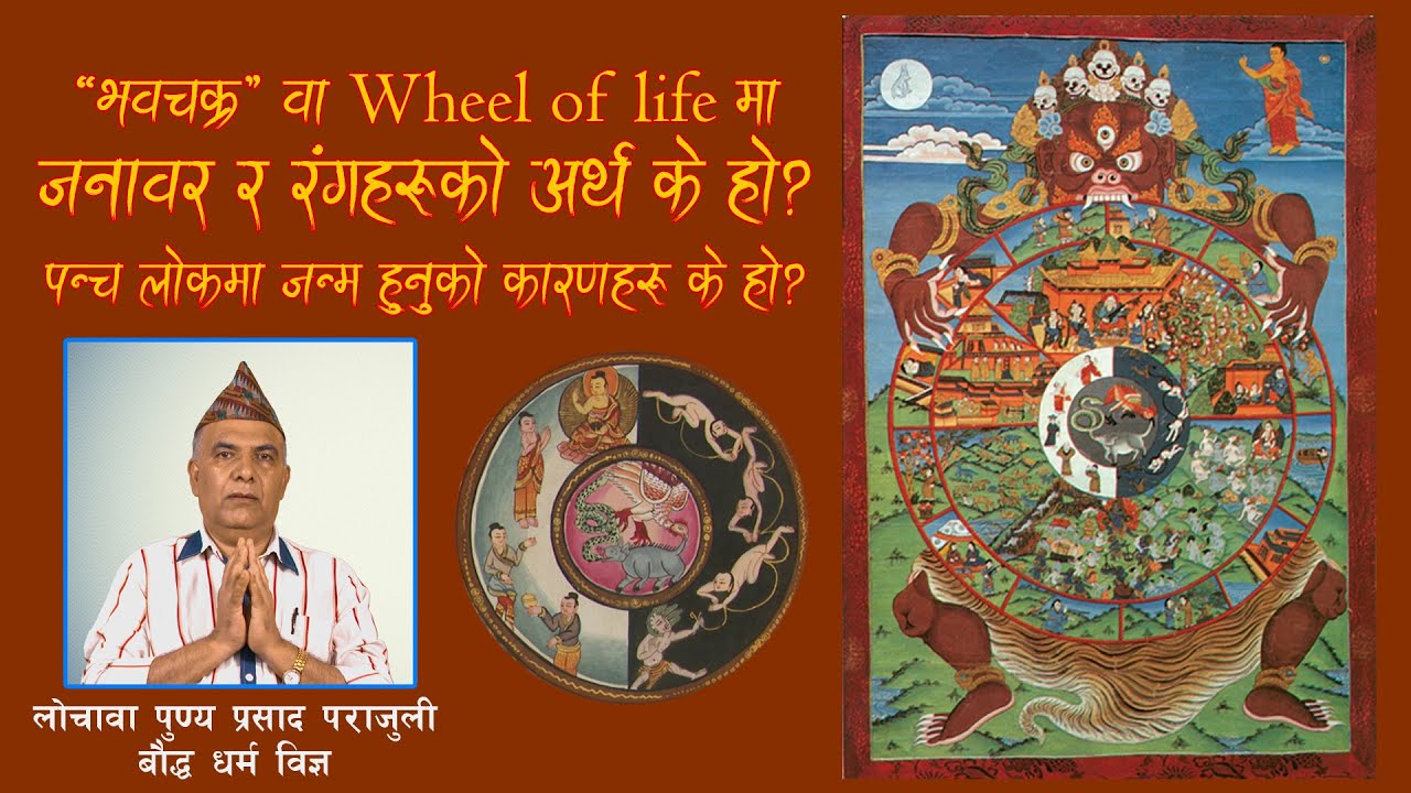 wheel of life थान्कामा राखिएको जनवार र रंगहरुको अर्थ  के हो? कसरी हाम्रो पञ्च लोक मा जन्म हुन्छ?