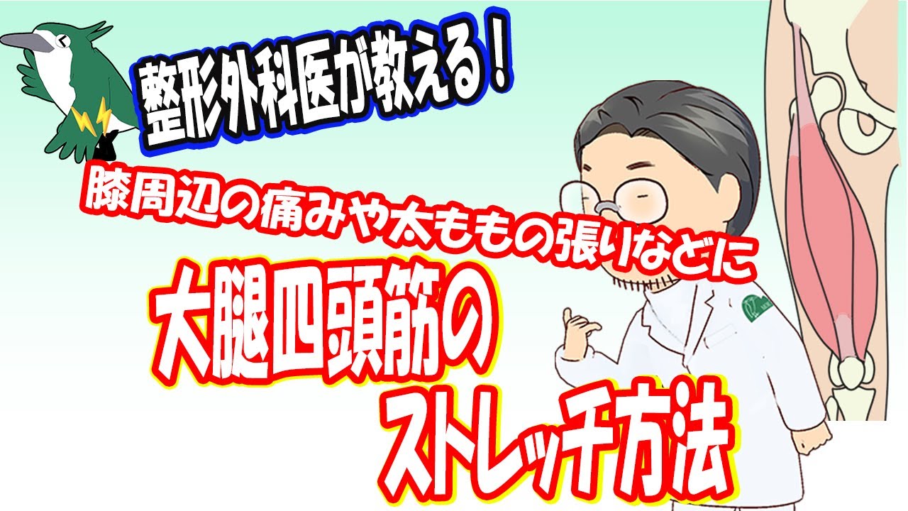 【整形外科医が教える！】大腿四頭筋のストレッチ