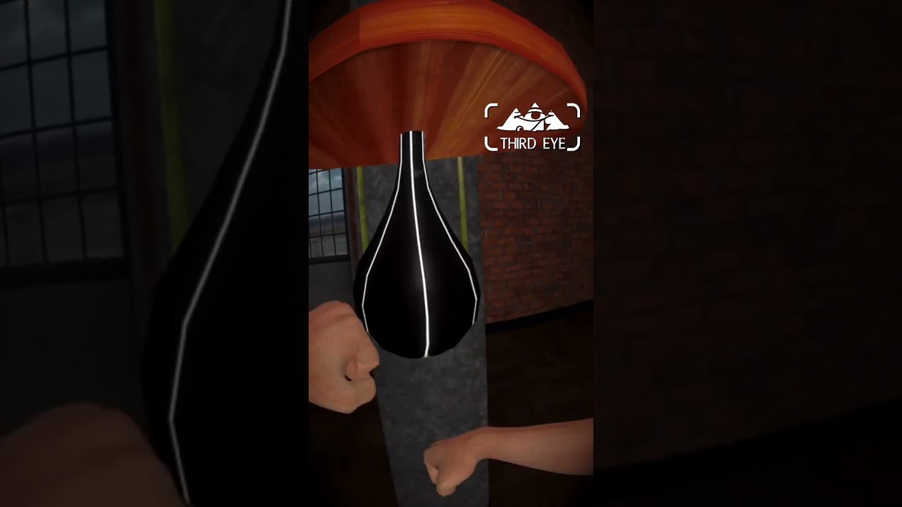 Boxing Ring in Project Third Eye #Quest2 #VR #viral