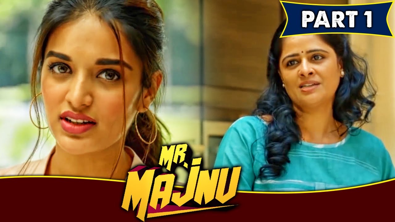 निधी को शादी के लिए चाहिये उससे प्यार करने वाला और ईमानदार लड़का | Mr Majnu Movie Part 1
