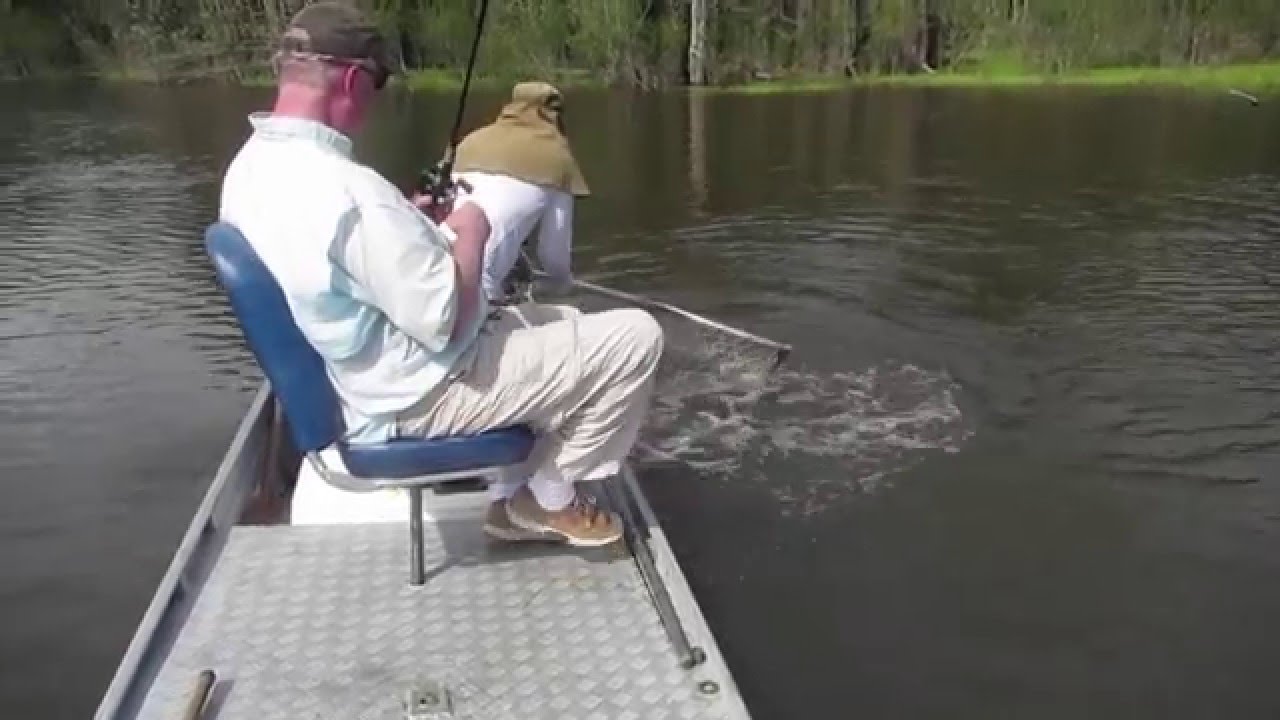 Peacock bass fishing on Rio Matupiri