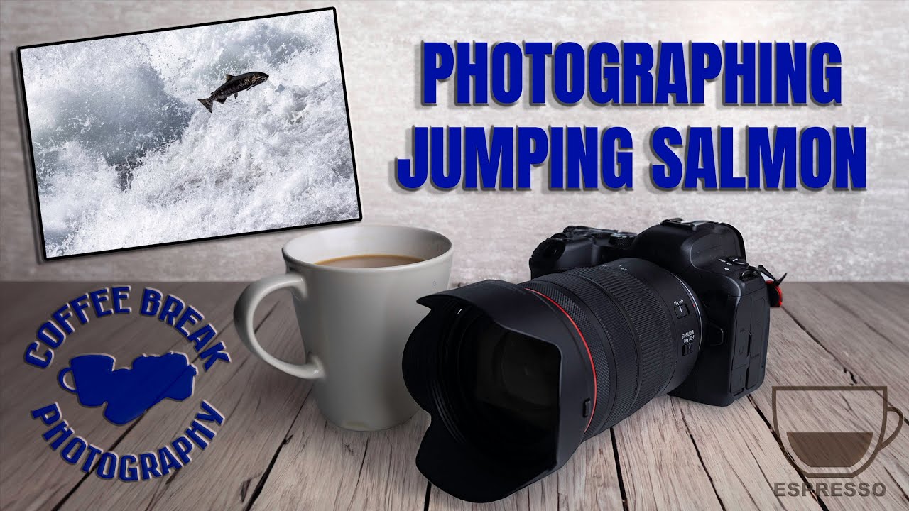 Photographing Jumping Salmon   how to make it as easy as shooting fish in a barrel