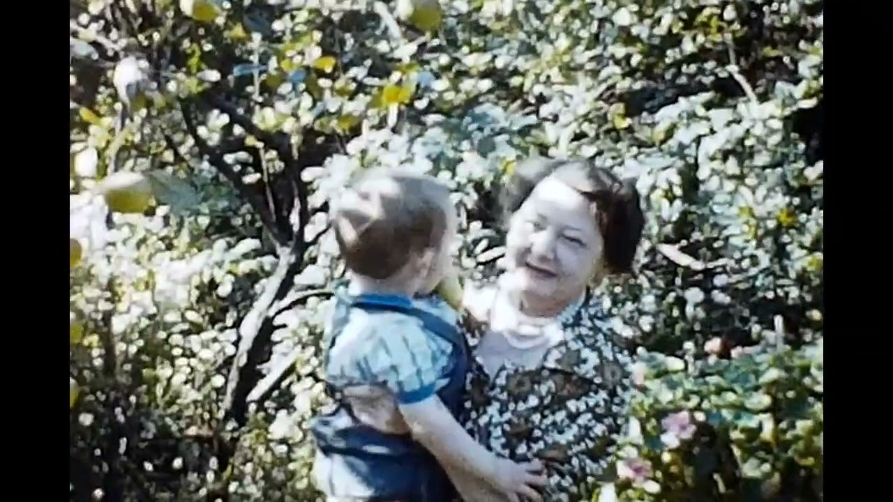 Misc Family 2, Errwood Road