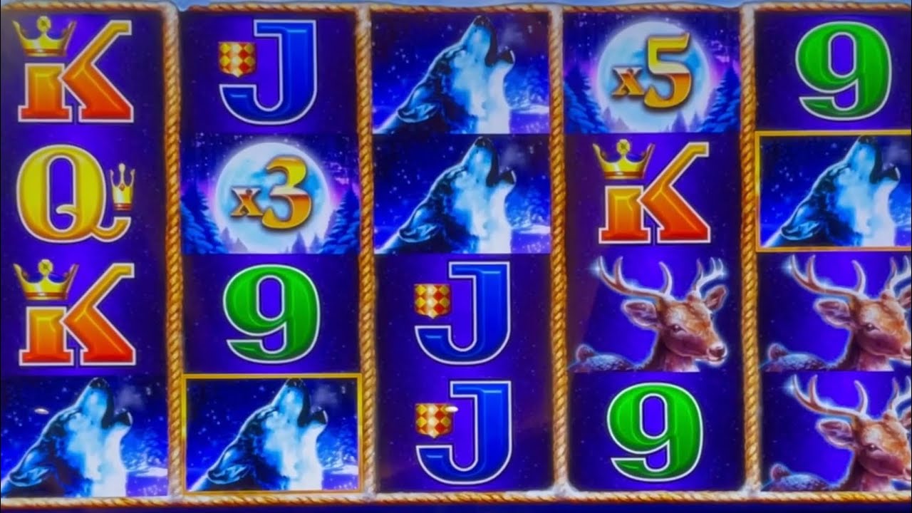 MASSIVE WIN ON TIMBERWOLF GOLD #slotman #wow #slot #win #timberwolf #casino #tiktok #download #100