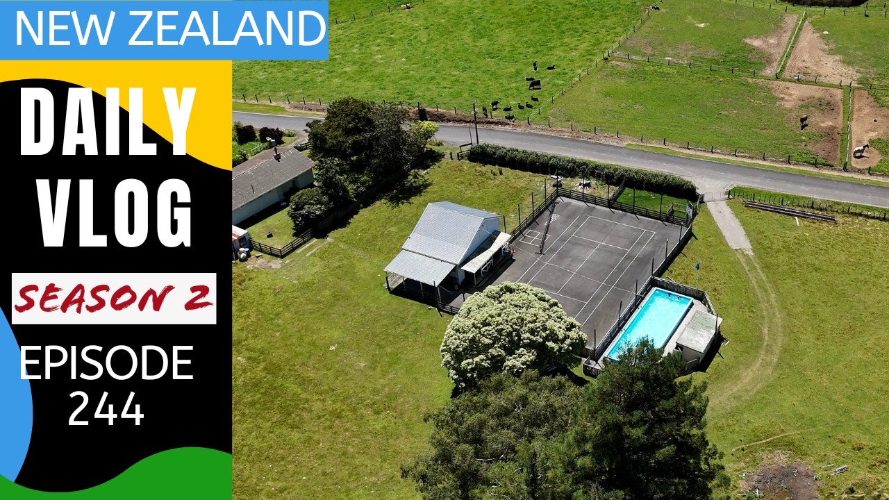 Disaster I ran out of coffee, so we head to the pool and town [Life in New Zealand season 2#244]