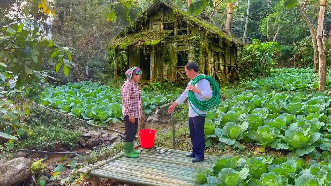 Добрый человек помог матери-одиночке отремонтировать заброшенный дом и начать жизнь заново.