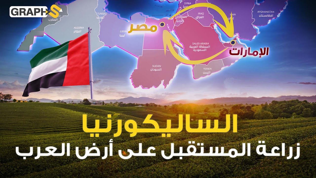 زراعة المستقبل .. بها ستنتهي ثلاث أزمات معًا .. الساليكورنيا من الإمارات إلى مصر