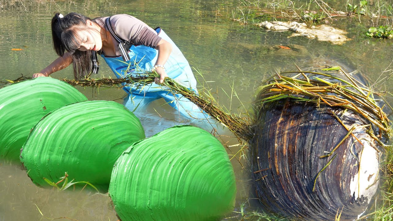 😱😱 The Giant Clam&rsquo;s Pearl Legacy and the Girl Who Ensured It Would Never Be Forgotten