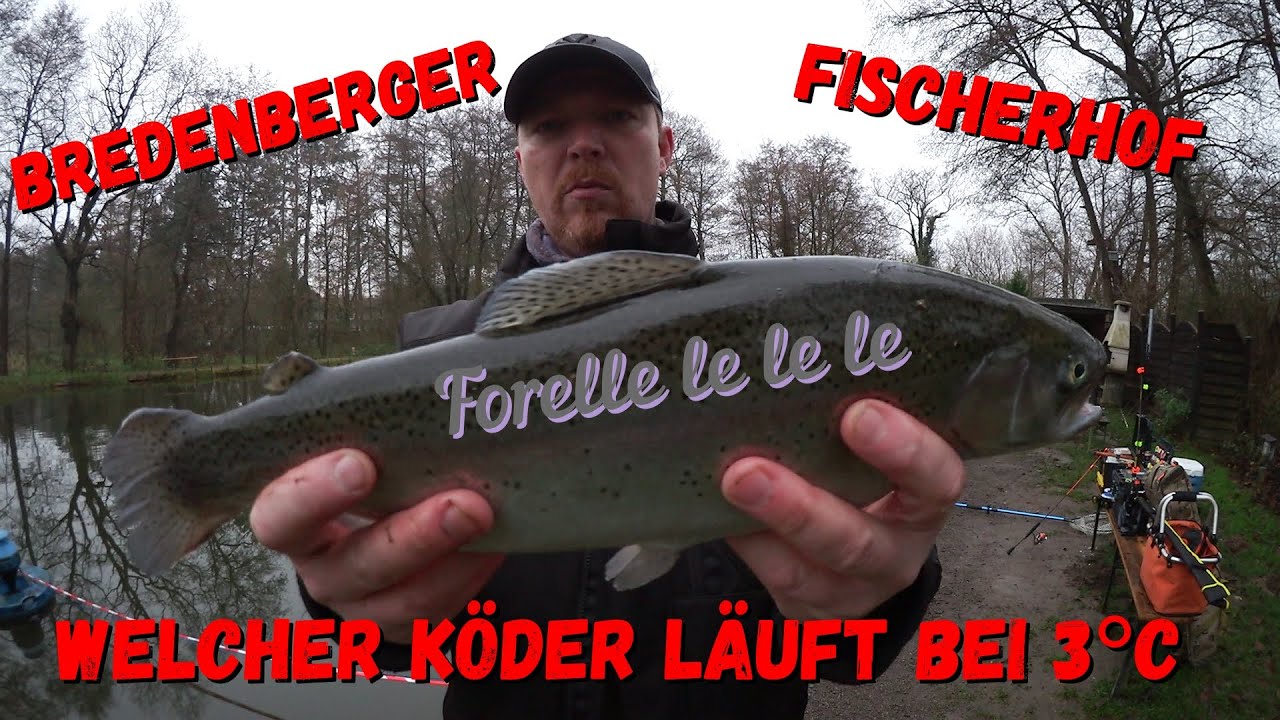 Ultralight beim Bredenberger Fischerhof,die Forellen rasten aus,Biss auf Biss bis die K&uuml;hlbox platzt