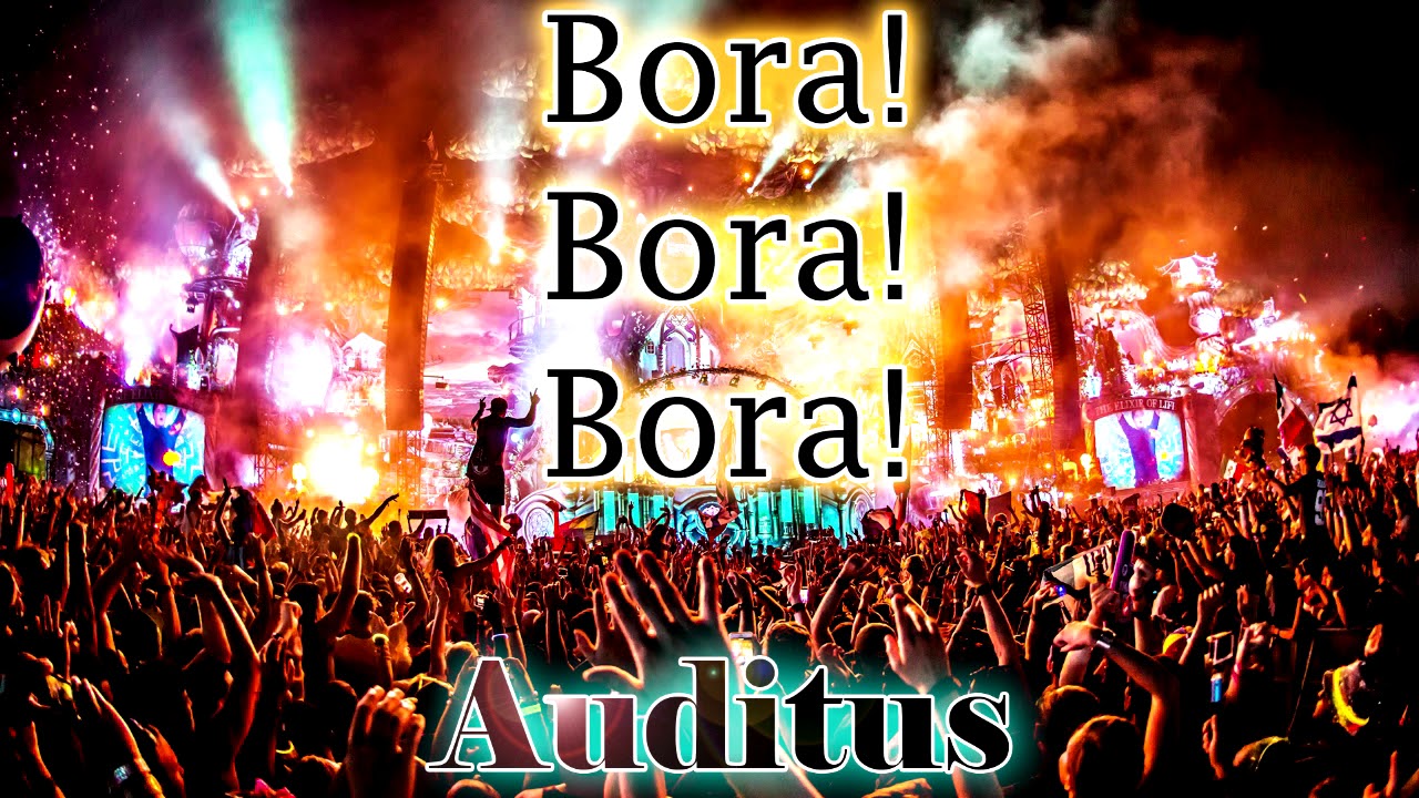 Scooter - Bora! Bora! Bora! (Auditus remix)