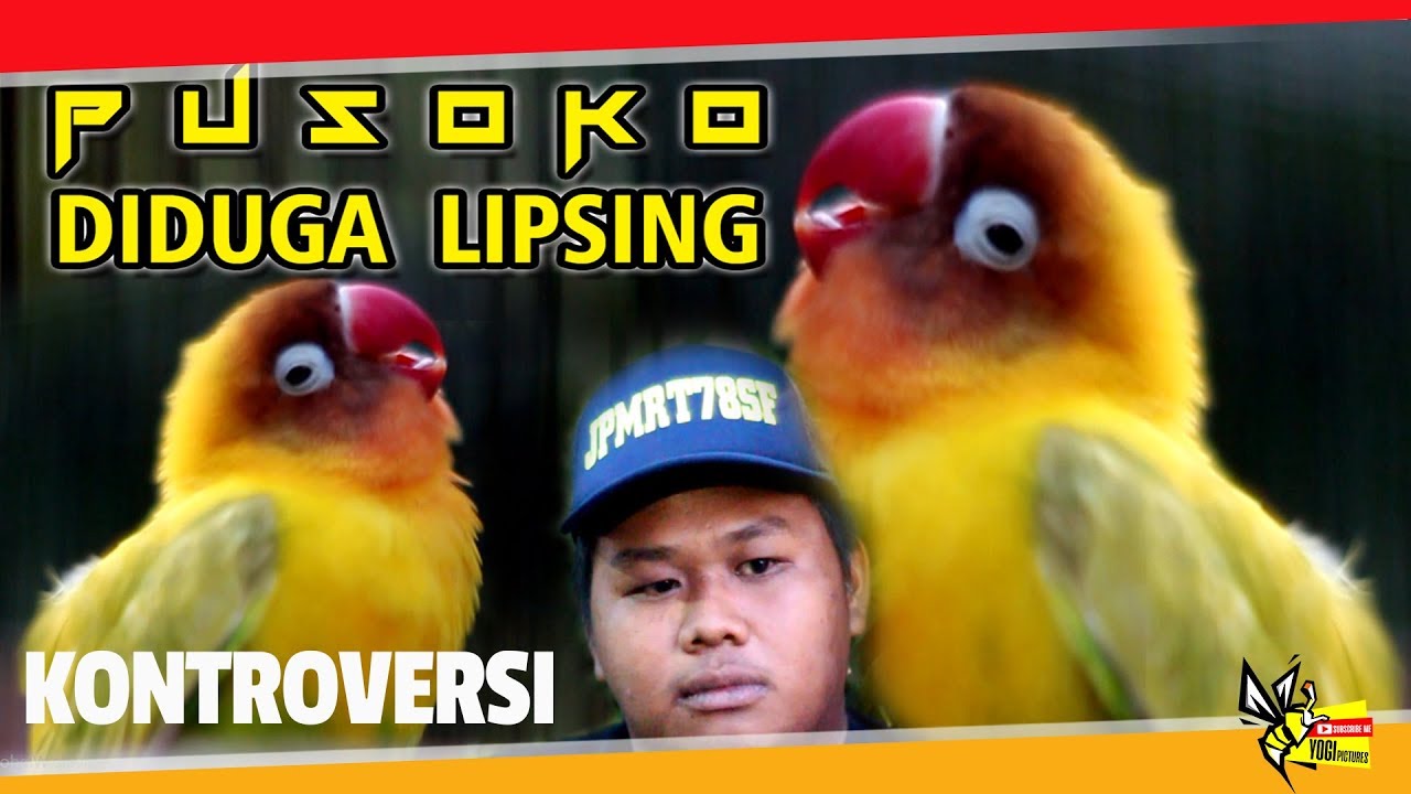 PIALA PANGLIMA TNI 2018 : KONTROVERSI DI DUGA LIPSING LOVEBIRD KONSLET PUSOKO MENANG MUTLAK
