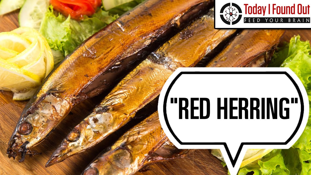 How the Phrase Red Herring Came to Mean Something That is Misleading