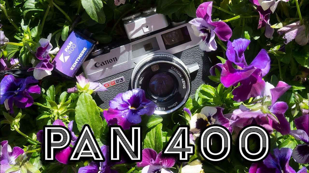 Pan 400 Is the Best Budget Film // First Impressions