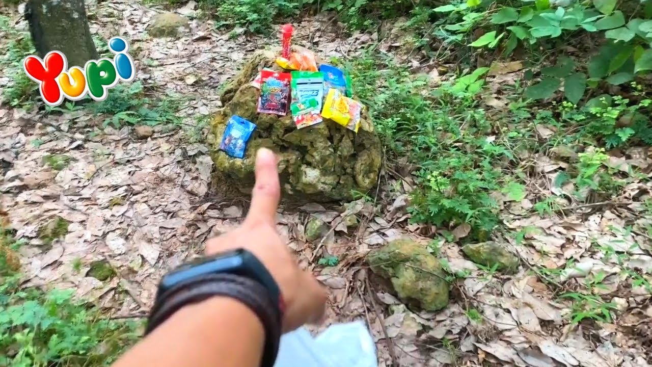 PENCARIAN KEMBALI HARTA KARUN 