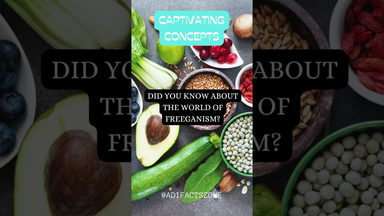 Zero-Cost Living: The Art of Freeganism 