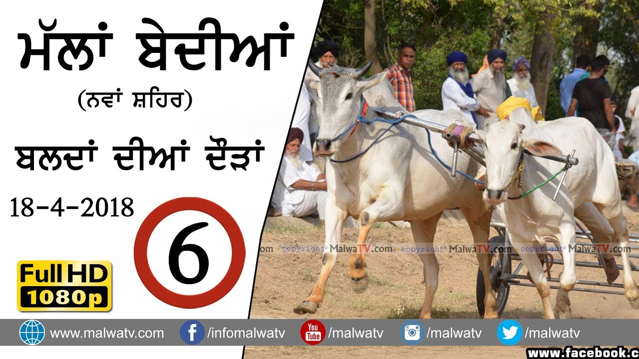 OX RACES at MALLA BEDIAN ਮੱਲਾ ਬੇਦੀਆਂ - 2018●Shift 2nd● Part 6● बैल गाड़ी की दौड़ें بیل گاڑی کی دوڑے- |