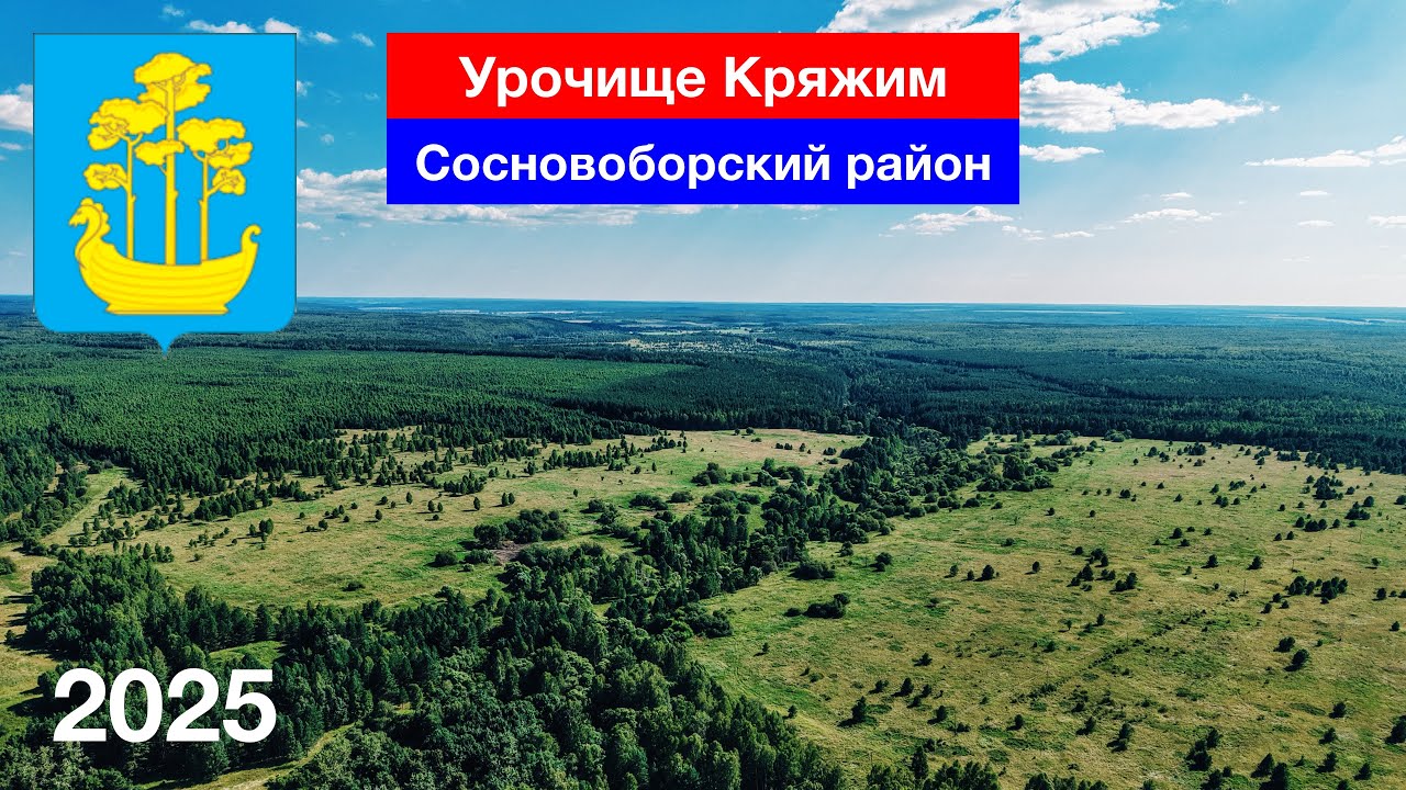 Урочище Кряжим &mdash; что осталось на месте бывшего села? Сосновоборский район (28.07.2025)