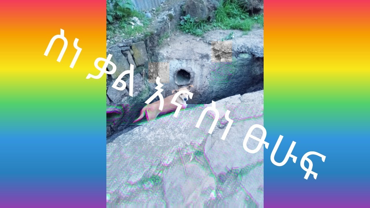 ስነ ቃል እና ስነ ፁሁፍ ልዩነታቸው  የት ድረስ ነው?
