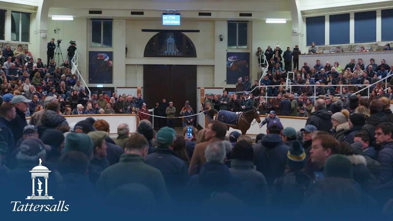 Tattersalls December Mares Sale 2025 Day 2 Review