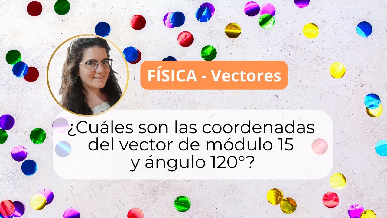 Vectores - Fisica - La Profe Anyta