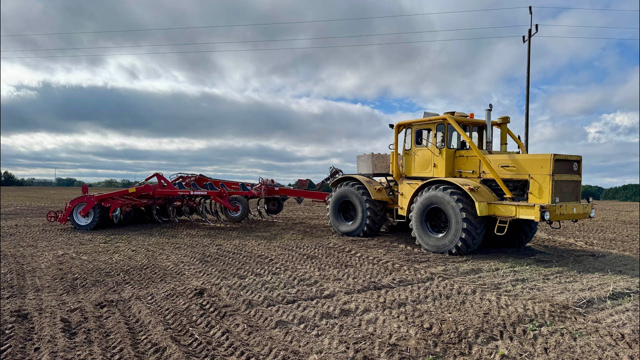 K700A nr 2 + HORSCH Tiger 5AS UPRAWA BEZORKOWA 3! WYNIK SPALANIA / WYDAJNOŚĆ 