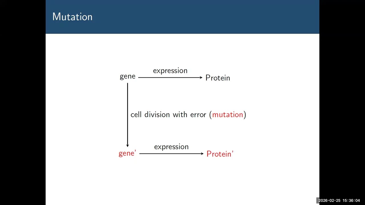 Signature-Based Mutation Rates for Selection Estimation in Cancer Genomics
