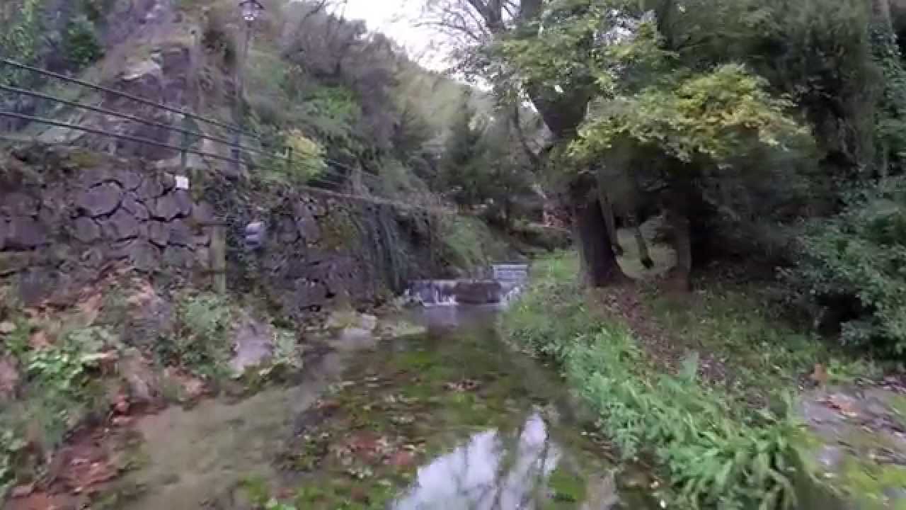 El Bergued&agrave; &ldquo; la meva pel&bull;l&iacute;cula&rdquo;