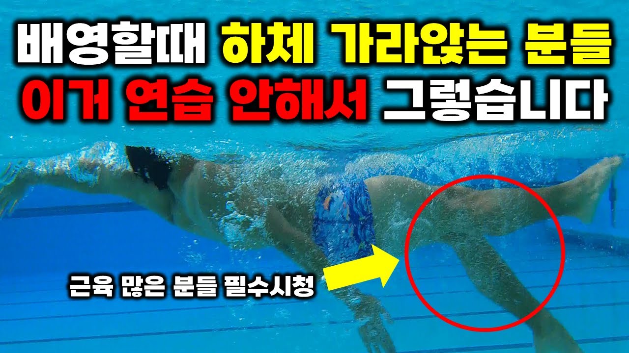배영할 때 하체 물에 뜨는 연습 방법 3가지 알려드리겠습니다 하체 튼튼한 분들, 근육 많은 분들 따라하면 무조건 뜰 수 있음