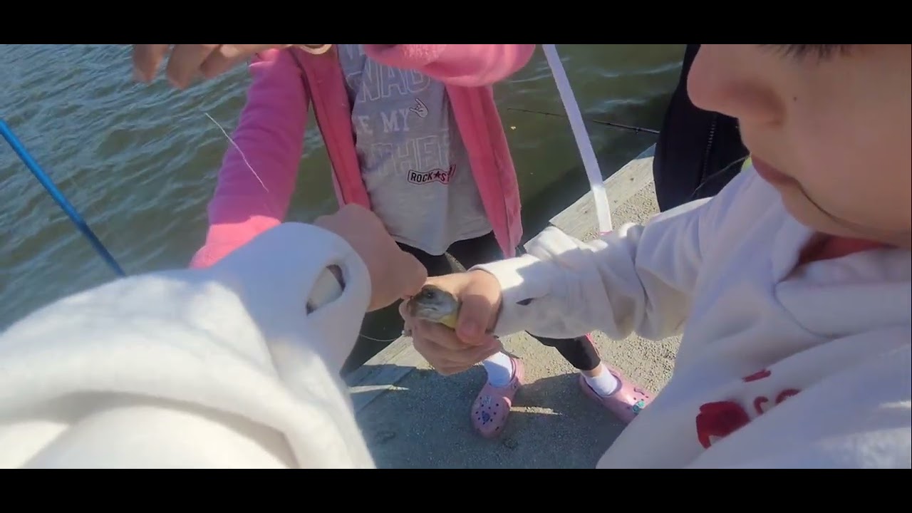 Fishing skills 👌 😎 👏 👍 