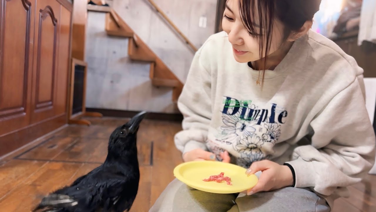 カラスのささみが選ぶ贅沢な食材とは？