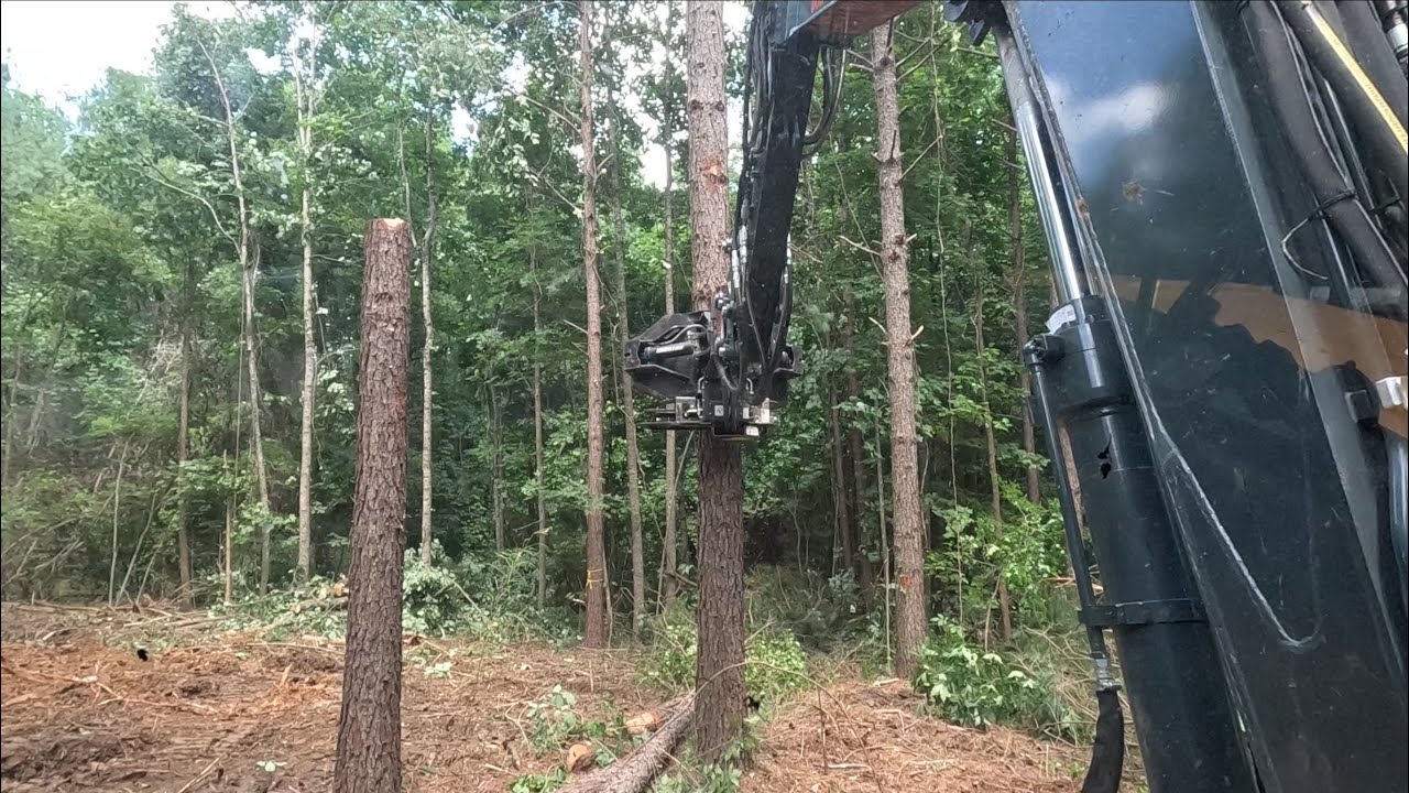 Rotobec grapple saw cutting trees