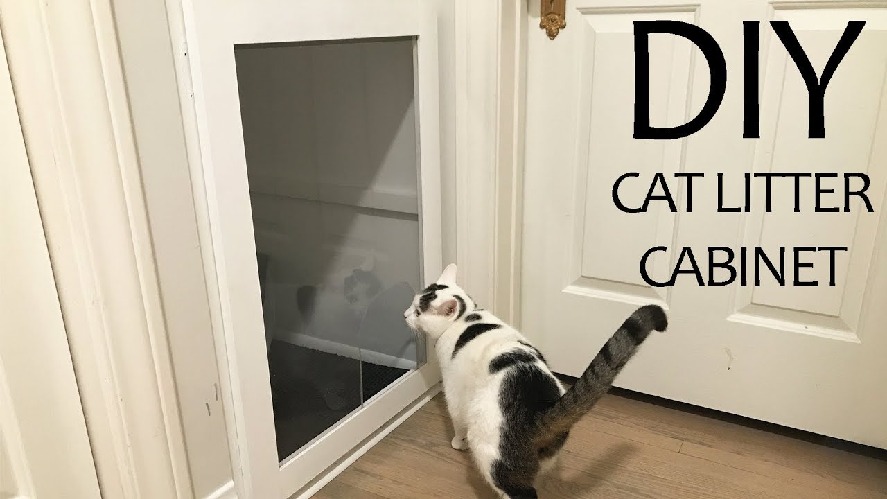 DIY Cat Litter Cabinet