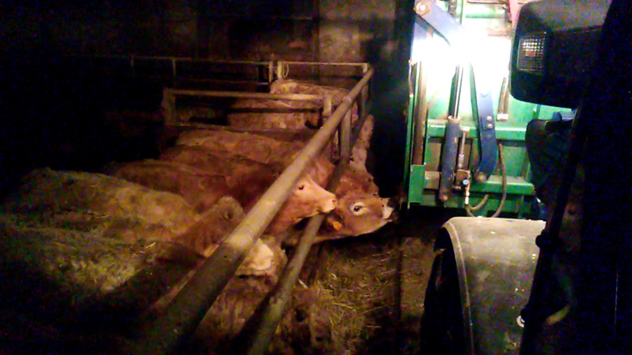 Godet desvois encilage d herbe