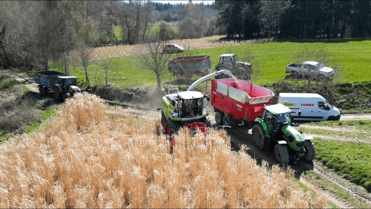 Ensilage de Miscantus - Nouvelle Claas Jaguar 840 🌿