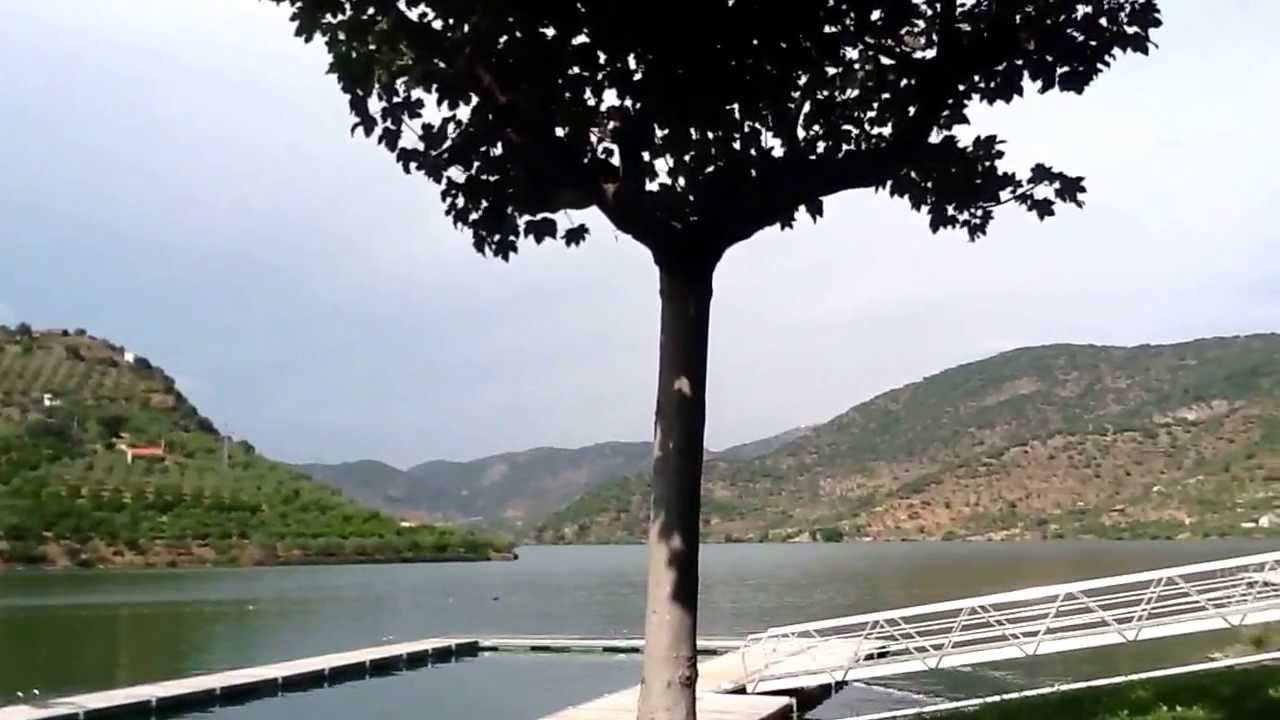 Descanso do guerreiro na congida