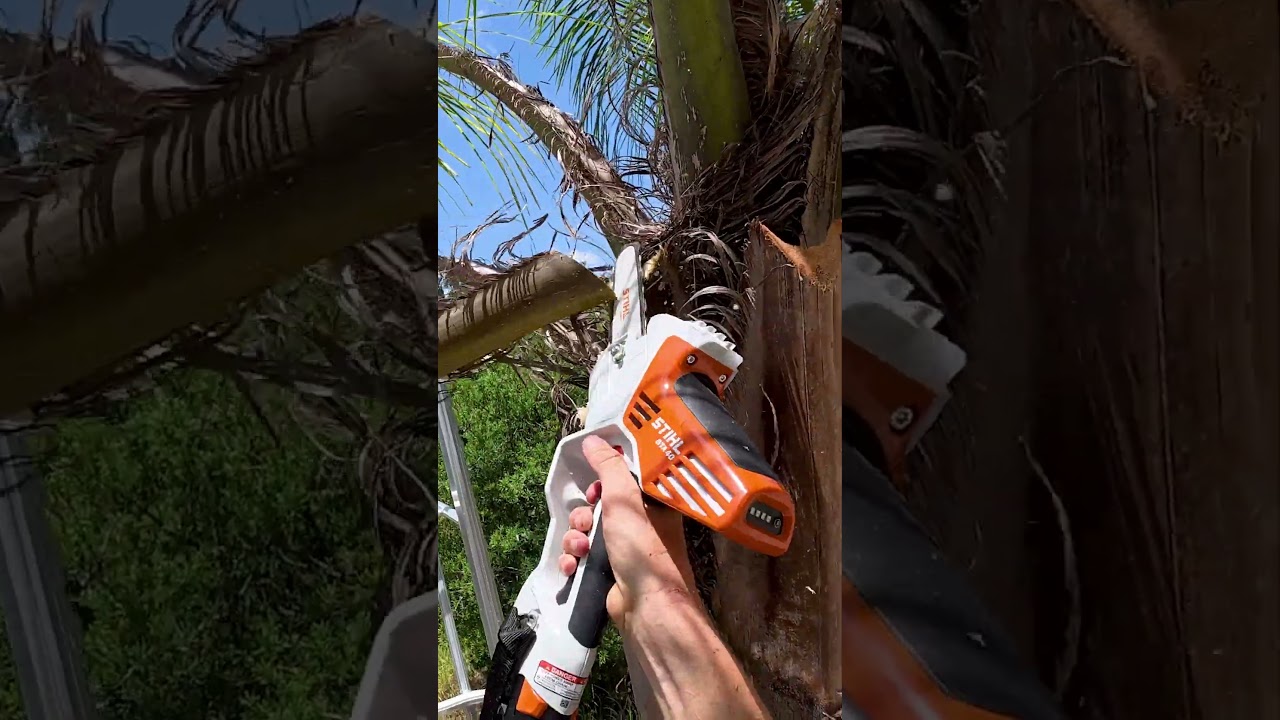 STIHL GTA 40 is Finally Here! Game Changer?