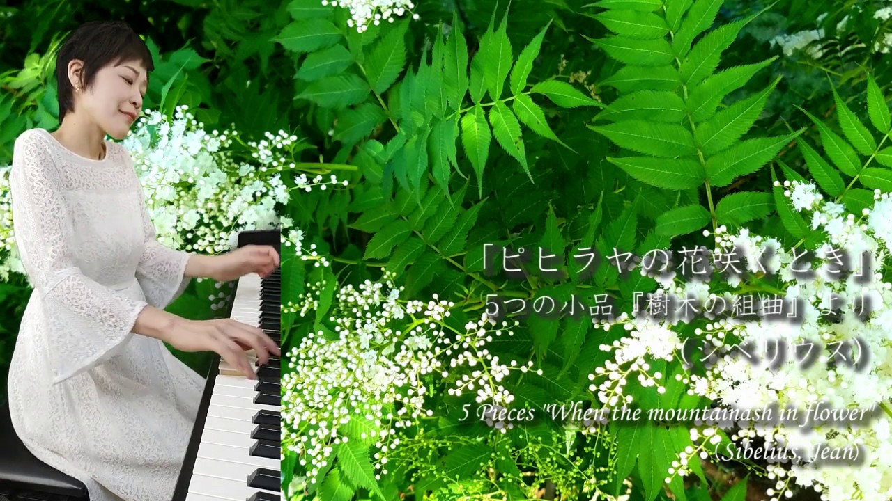 「ピヒラヤの花咲くとき」 5つの小品[樹木の組曲]より（シベリウス）  ピュアニスト・石原可奈子：5 Pieces 