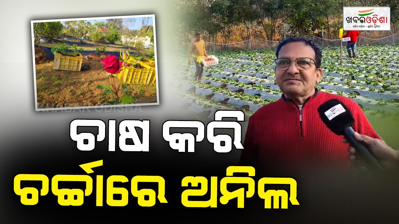 ଚାଷ କରି ଚର୍ଚ୍ଚାରେ ଅନିଲ | Balangir | Khabar Odisha
