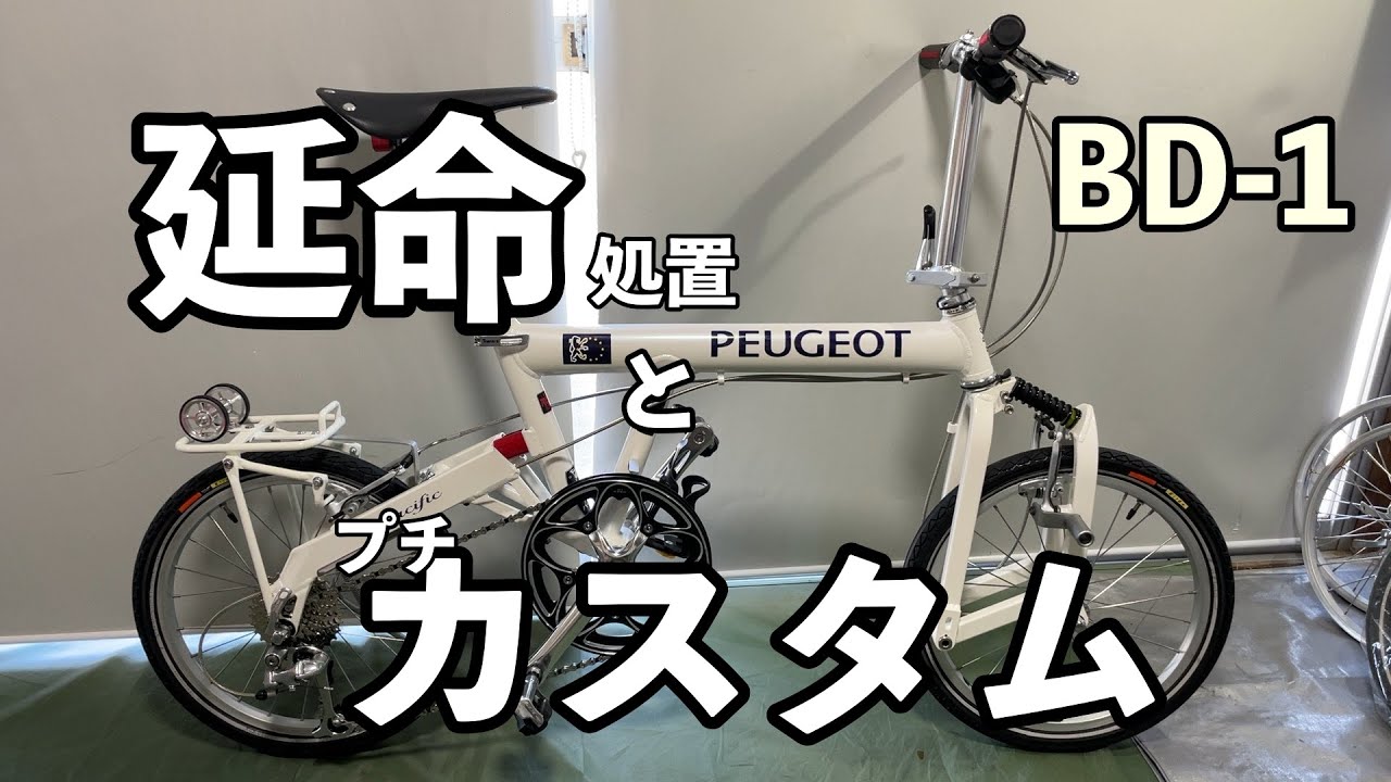 BD-1（PEUGEOT Pacific）を生涯大切に所有していく為の延命措置とぷちカスタムを施してみました。