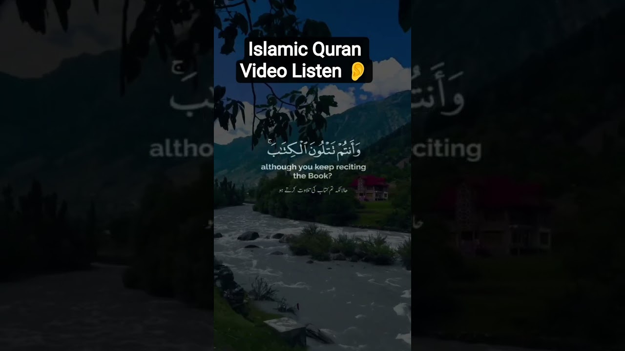 Islamic Quran Video Listen 👂👈 Everyone 🙏 request me Rohingya Refugees Camp life 😭 
