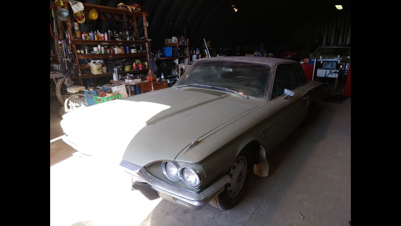 Хранится 40 лет! Сколько 65 T-Bird хватит! 😵
