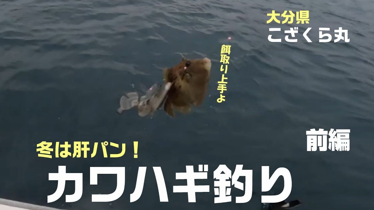 【肝パンカワハギを釣りたい！】大分こざくら丸で餌取り上手と闘う！