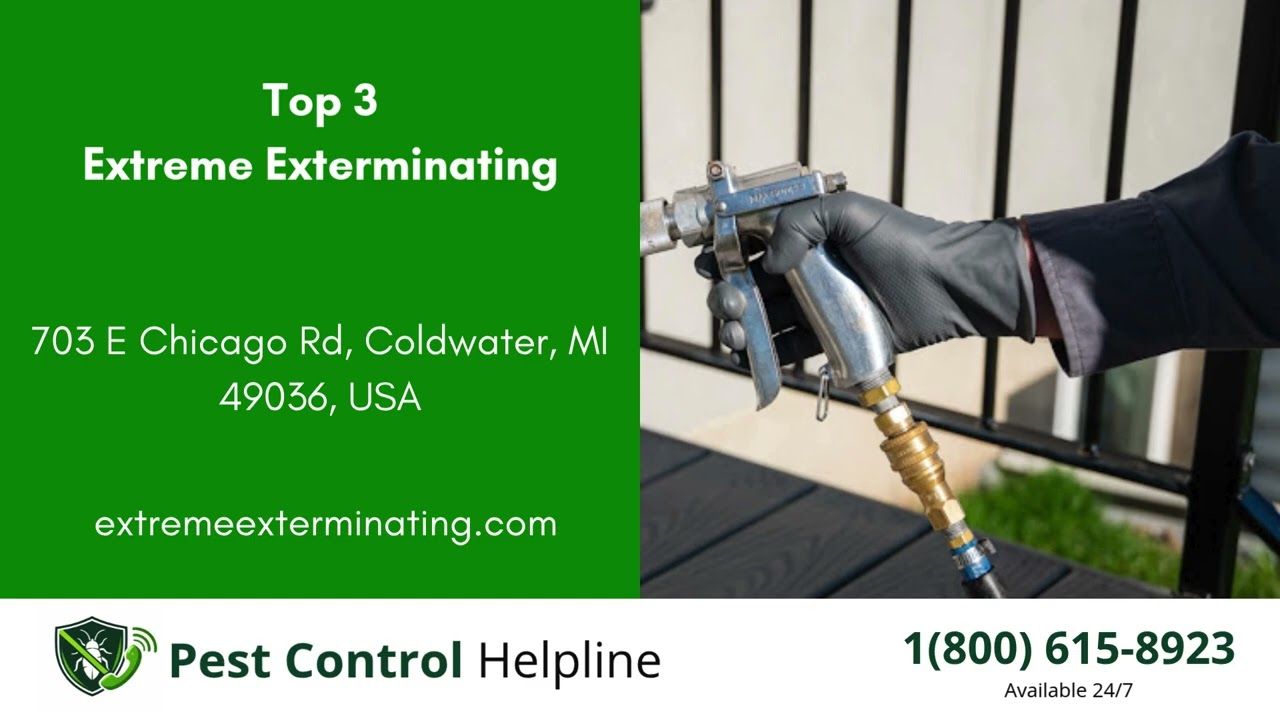 Top 3 Pest Control in Coldwater