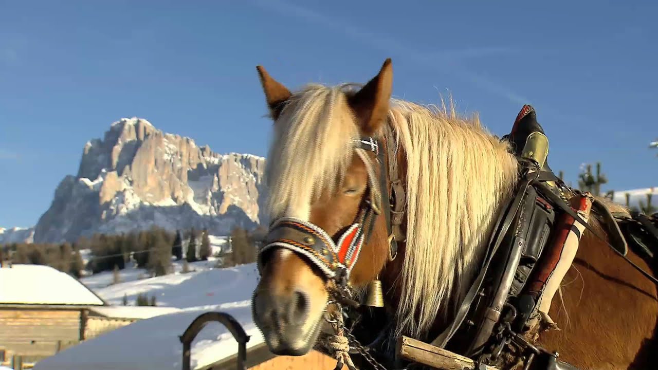 Inverno a Castelrotto it