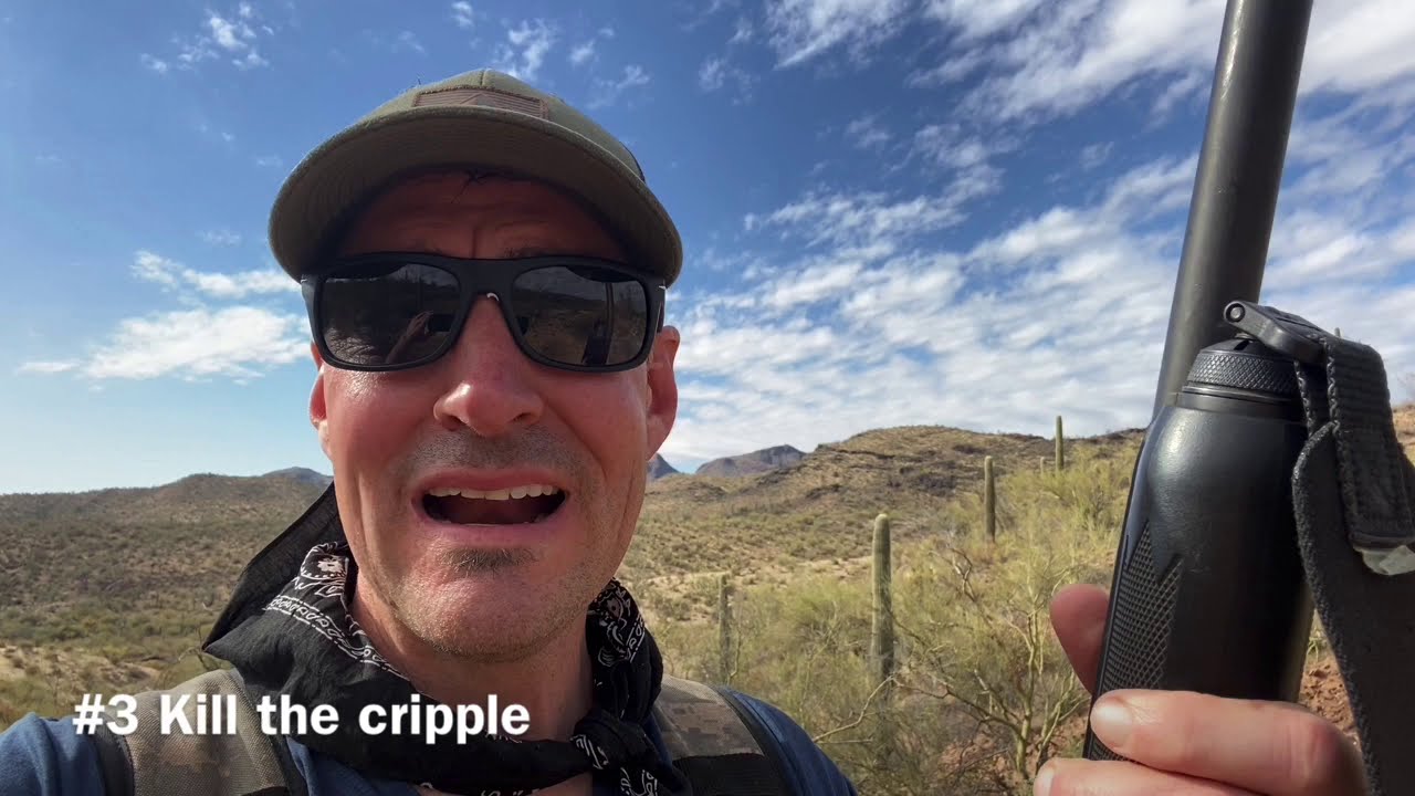 3 Quail Hunting Tips
