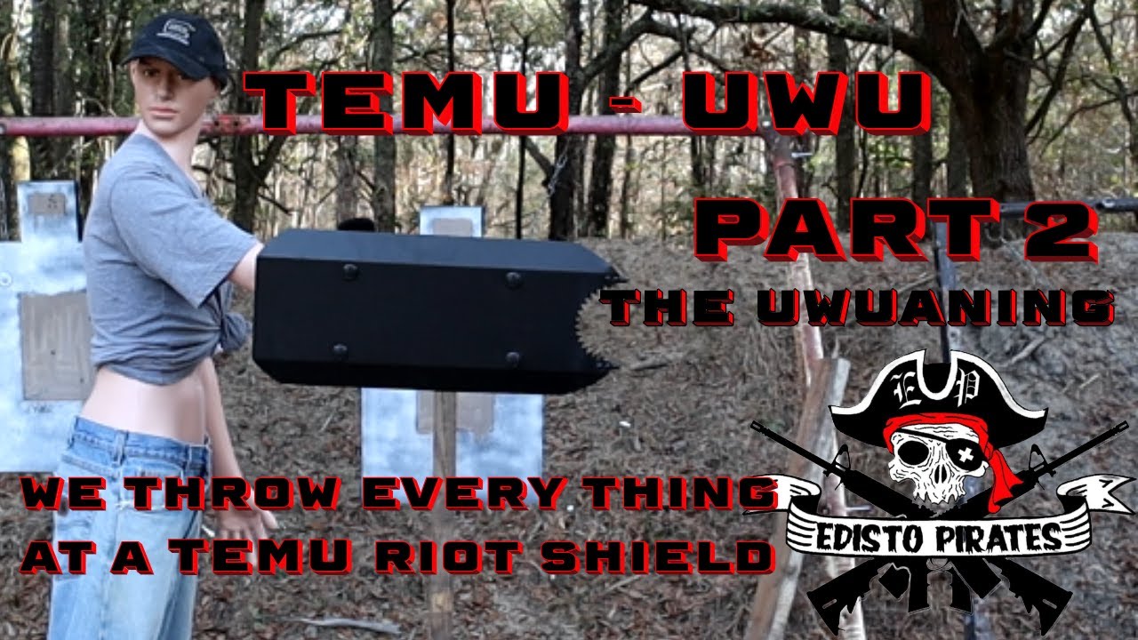 TEMU - UwU - PART 2 - THE UwUANING - WE STILL THROWING EVERYTHING AT IT