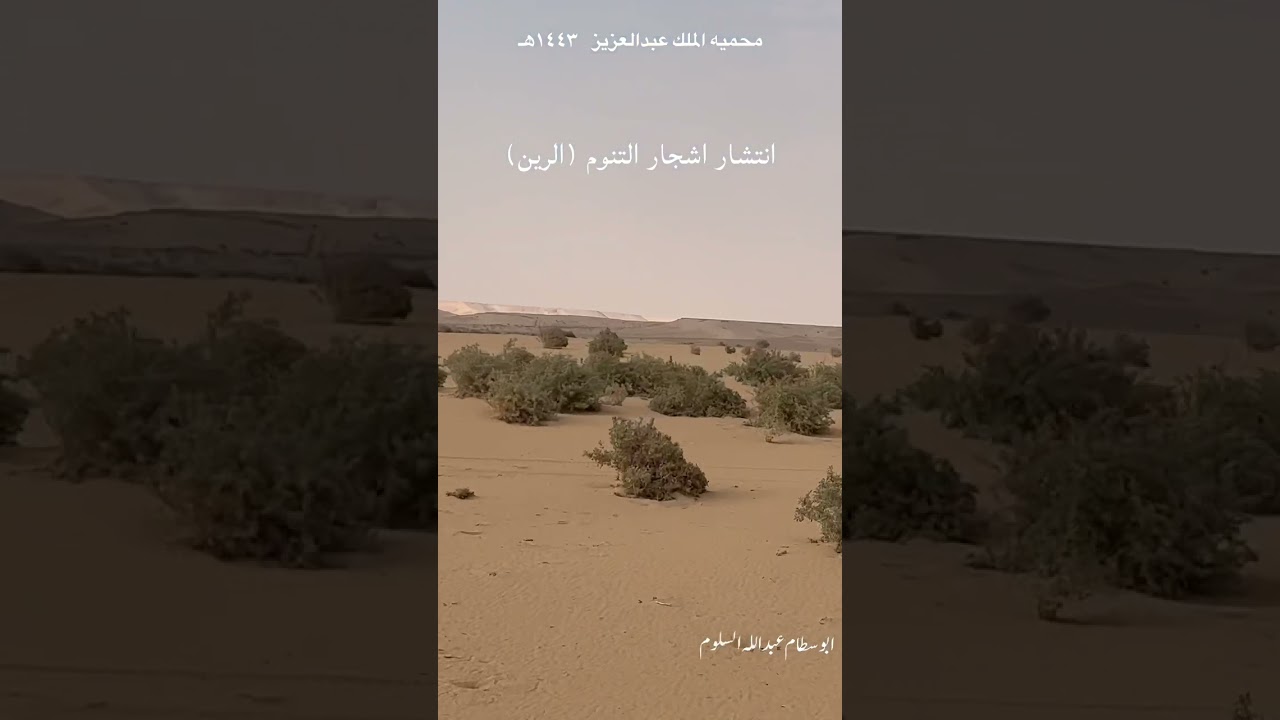 فيديو منوع لمحمية الملك عبدالعزيز الملكية