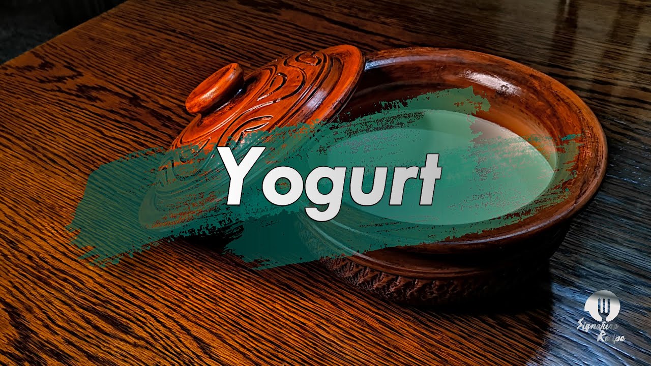 Yogurt | টক দই | Tok Doi by Signature Recipe